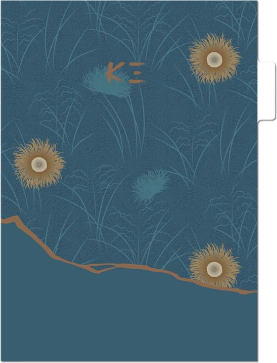 Image du produit Clairefontaine K3 blue, Set de 3 pochettes à onglets 22x31 cm, ass. - A motifs (22 x 31 cm, 240 x)