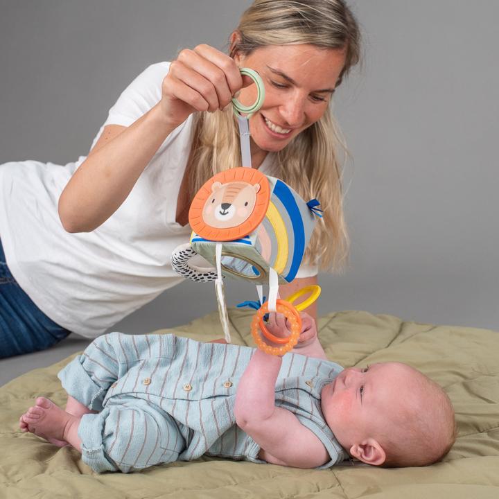 Immagine prodotto Taf Toys Cubo di attività Savannah