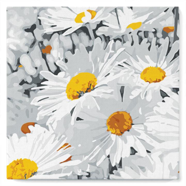 Image du produit Figured'Art Mini Peinture par Numéros avec Cadre - Jolies Marguerites