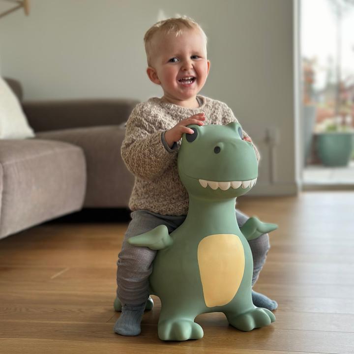 Image du produit Find That Hippo Hüpftier Dexter Dino