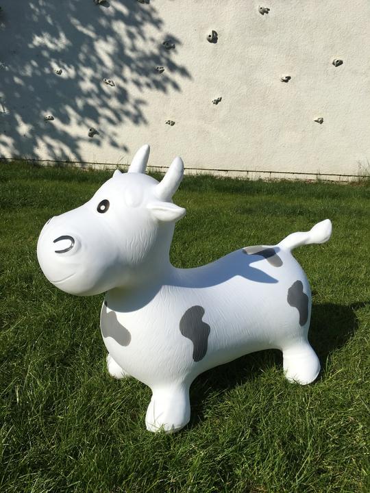Actual product image Happy Hopperz Big Face Bull