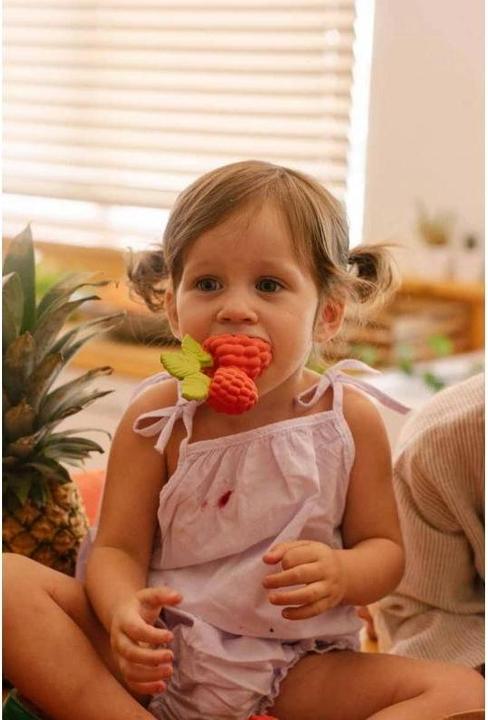 Image du produit Oli and Carol Valery the Raspberry Anneau de dentition