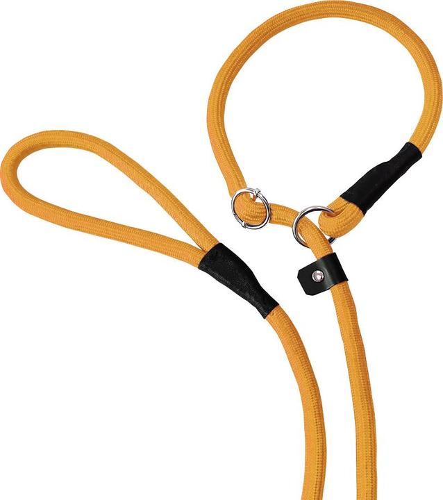 Immagine prodotto Nobby Guinzaglio per retriever Fun Uni (Cane, Sport cane)