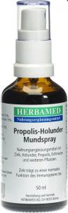 Actual product image Herbamed Propolis-Holunder Mundspray (1 Piece, Spray, 114 g)