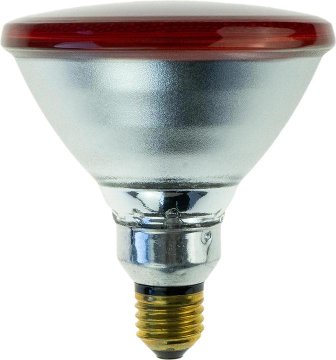 Actual product image Philips 22302 Economy lamp, 100 W, red (100 W)