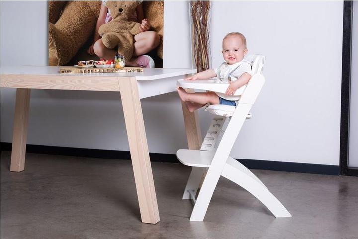 Immagine prodotto Childhome Seggiolone Evosit (Seggiolone)