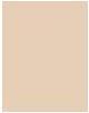 Produktbild Revlon Color Stay® Makeup normal/dry skin Buff (150 Buff)