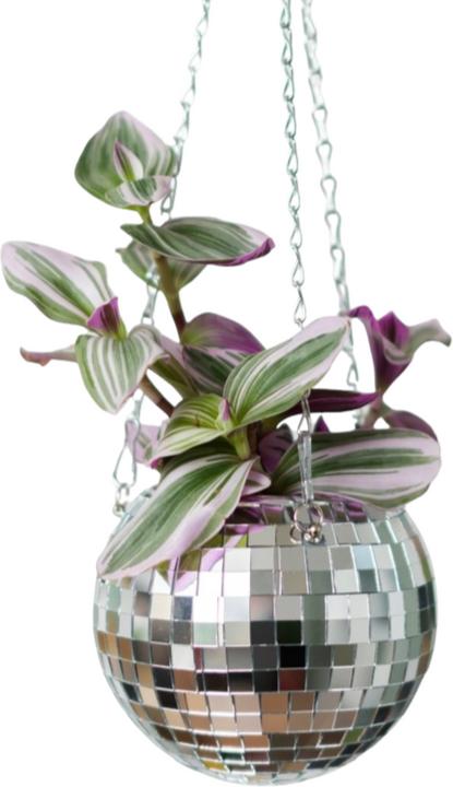 Produktbild Mags Disco Blumen