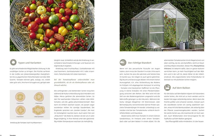 Image du produit Gemüse und Kräuter im Garten (Allemand, Dr Markus Phlippen, 2019)