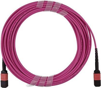 Immagine prodotto BlueOptics Cavo patch OM4 multimodale compatibile MPO-12-2xMPO-4 di NVIDIA MFP7E20-N030 da 30 metri (30 m)