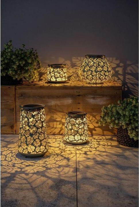 Immagine prodotto STT Antic Monstera