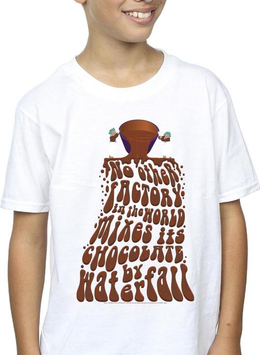 Actual product image Willy Wonka & the Chocolate Factory Boys Chocolate Waterfall T-Shirt (152, 158)
