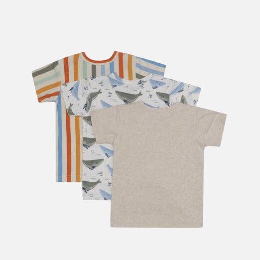 Actual product image Hust and Claire T Shirt Asmo er Pack (80)