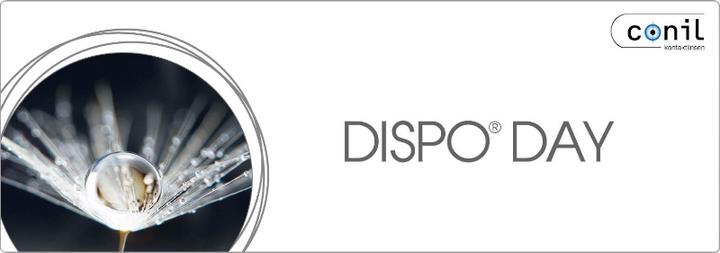 Dispo Day
