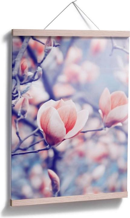 Image du produit Trenddeko Bourgeon de magnolia (40 x 50 cm)