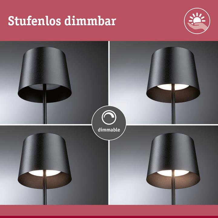 Image du produit Paulmann Gilo (240 lm)