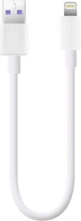 PowerGuard USB A - Lightning (0.20 m, USB 3.1)