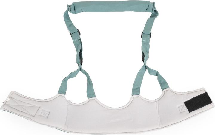 Actual product image Moni harnais de marche bébé Walky