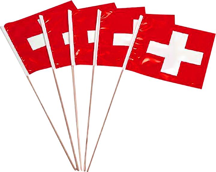 Actual product image Weco CH flags