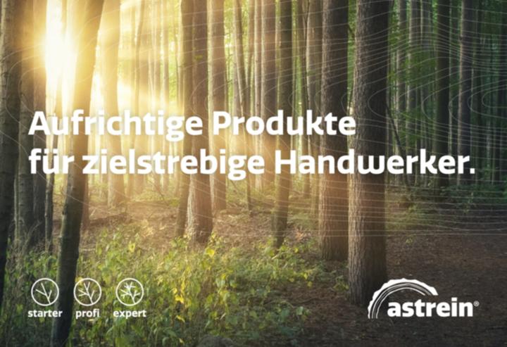 Produktbild Astrein SK SP-Schr. Anton TORX 30 verz. o.S. (200 Schrauben pro Stück)