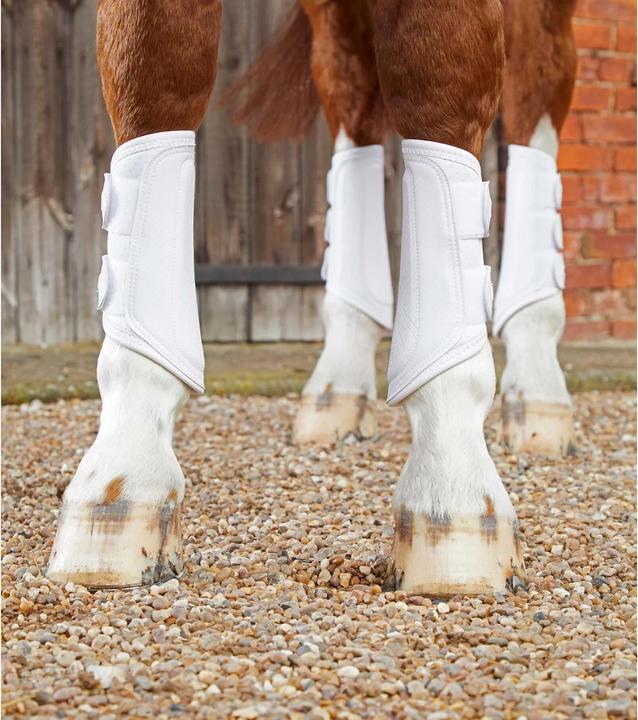 Image du produit Premier Equine Air-Tech (S)
