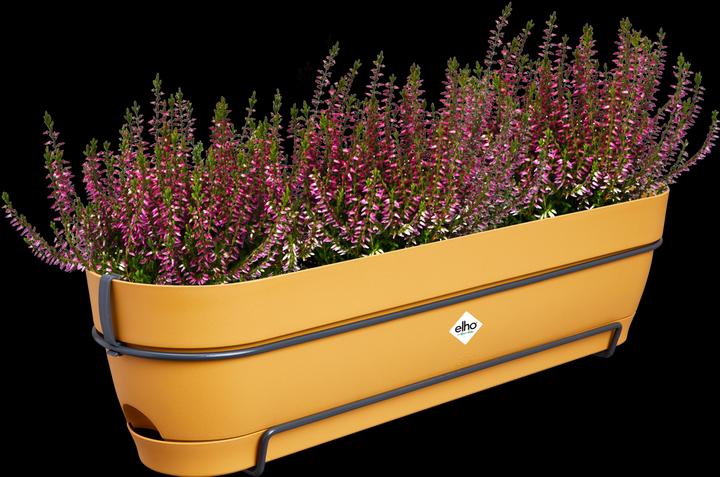 Immagine prodotto Elho Vibia Campana Balcony Box Allin1 (26 cm)