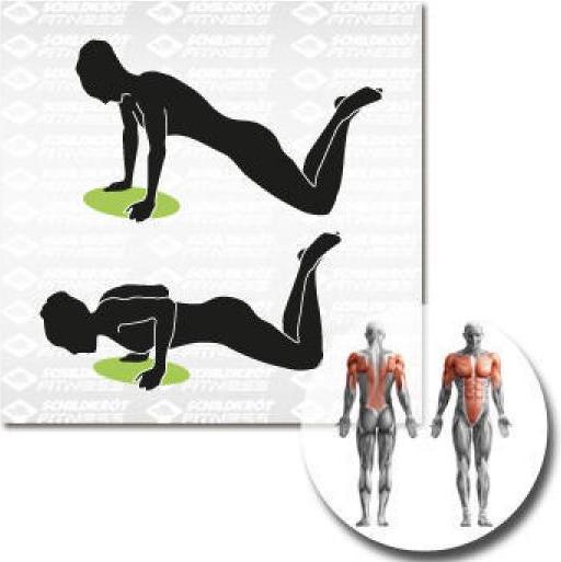 Actual product image Schildkröt Balance