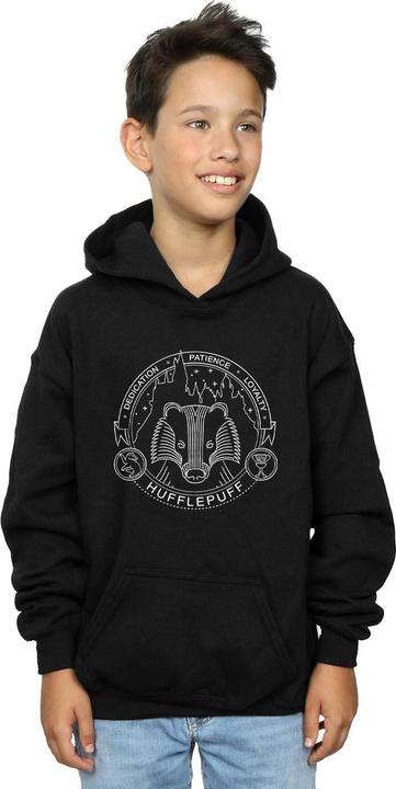 Actual product image Boys Hufflepuff Seal Hoodie (128)