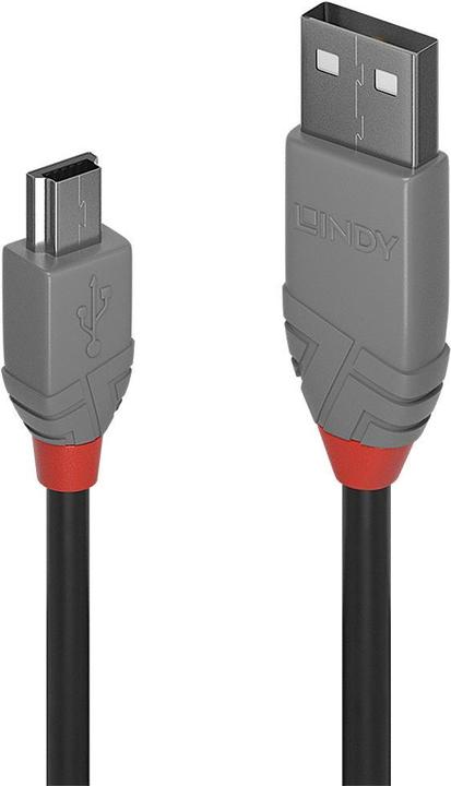 Actual product image Lindy Anthra Line (0.20 m, USB 2.0)