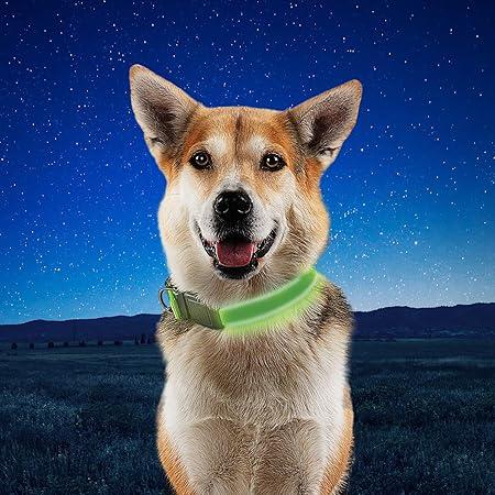 Immagine prodotto Nite Ize Collare a LED ricaricabile NiteDog™ L (23, 24, Cane)