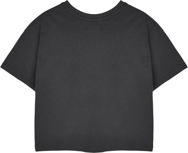 Actual product image Monster High Womens/Ladies Alumni Short-Sleeved Crop T-Shirt (L)