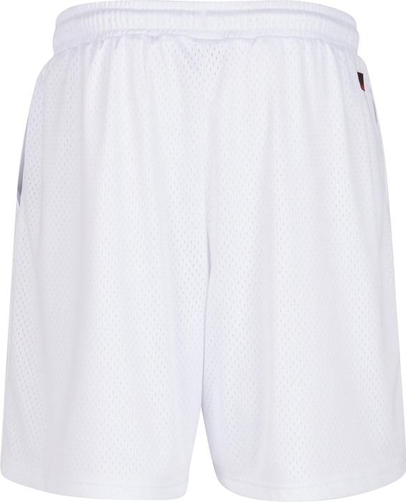 Actual product image Fubu FM242-005-2 Varsity Mesh Shorts - 159563 (L)