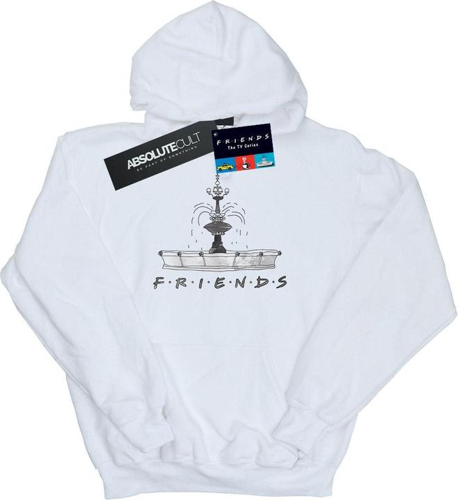 Actual product image Friends Boys Fountain Sketch Hoodie (152, 158)