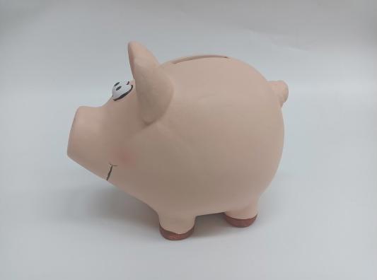 Image du produit Roost Caisse d'épargne Cochon (18,5 x 14,5 x 15,5 cm)