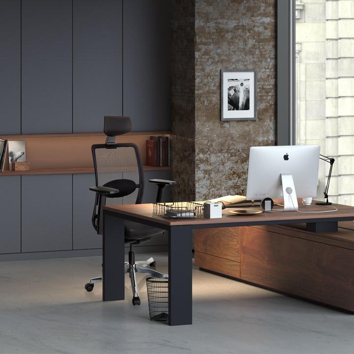 Image du produit Hjh Office Senator Pro
