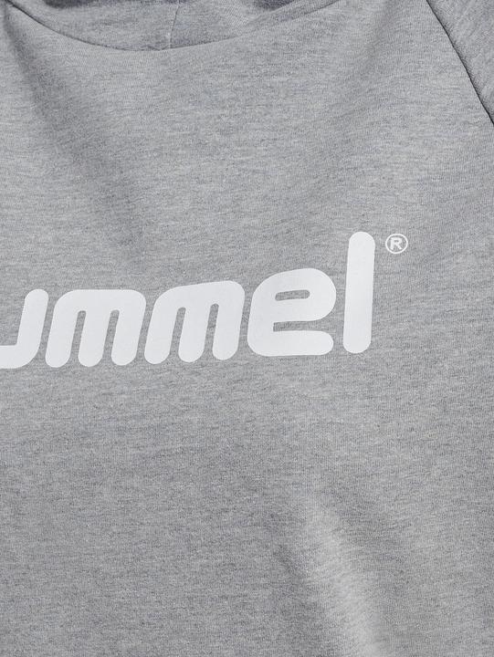 Image du produit hummel Chandail à capuchon en coton avec logo Dames (L)