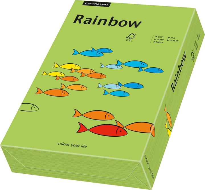 Immagine prodotto Papyrus Arcobaleno carta verde A3 (160 g/m², 250 x, A3)