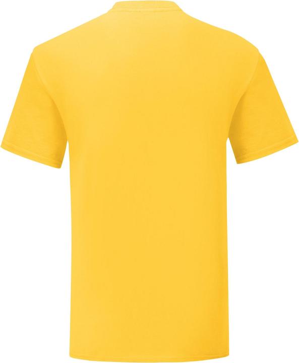 Actual product image Fruit of the Loom Mens Iconic Premium Ringspun Cotton T-Shirt (S)