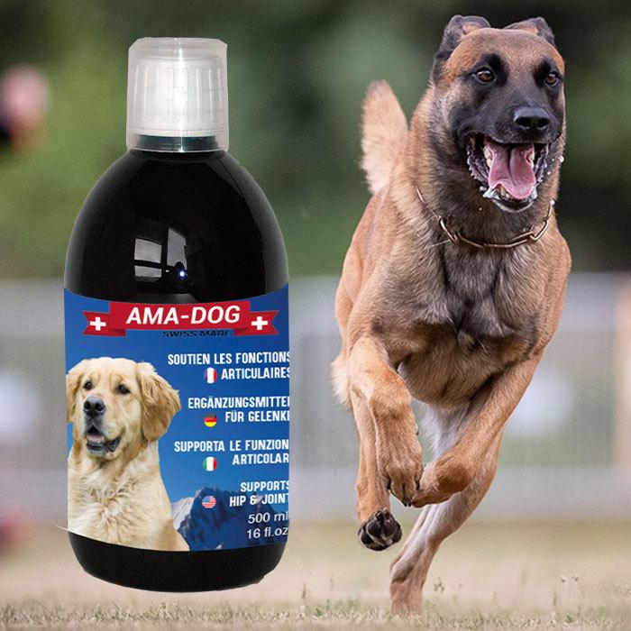 Image du produit Ama-Dog 500ml (Junior, Senior, Adulte, 1 pcs, 500 g)