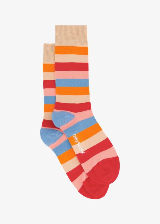 DillySocks Pastel Stripes (36 - 41)