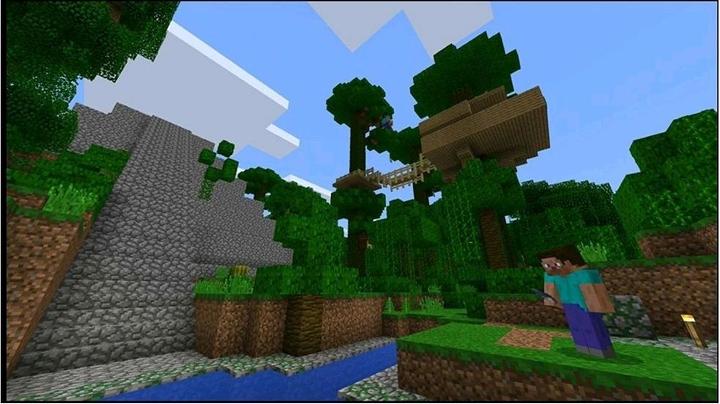 Actual product image Nintendo Minecraft (Switch, DE)