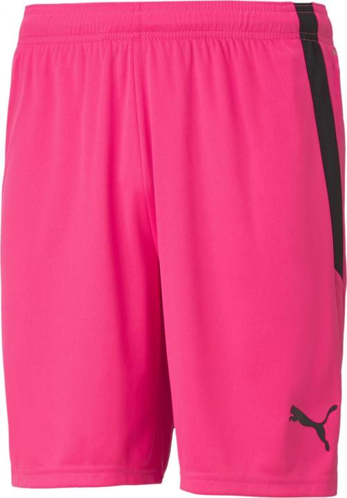 Actual product image Puma teamLIGA Shorts-704924 (XL)