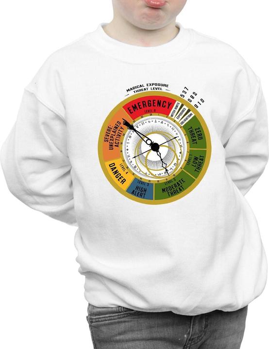Image du produit Fantastic Beasts - Sweat THREAT LEVEL - Garçon (152, 158)