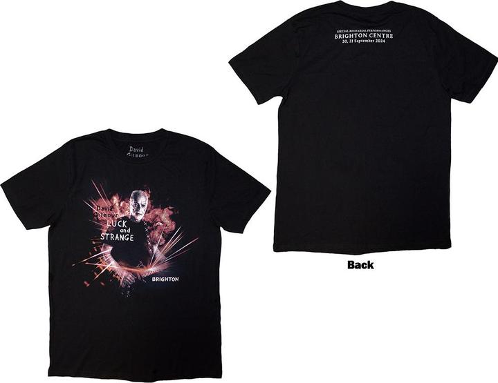David Gilmour Luck & Strange Brighton (S)