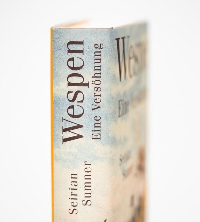 Produktbild Wespen – Eine Versöhnung (Deutsch, Andrea Schmittmann, Seirian Sumner, 2023)