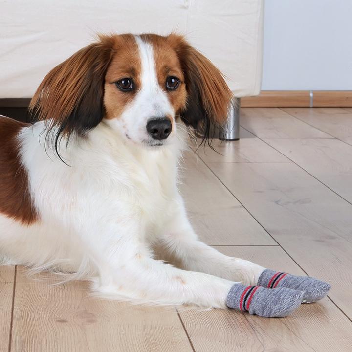 Actual product image Trixie Dog socks (L, XL, Dog socks)