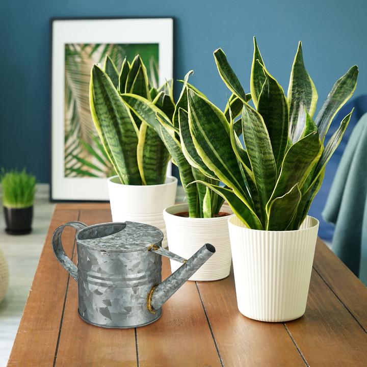 Productafbeelding Relaxdays Gieter (1.30 l)