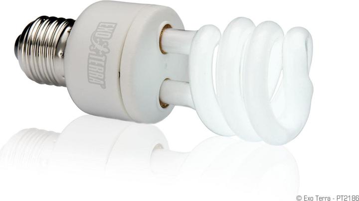 Actual product image Exo Terra Repti Glo (UVB, UVA)