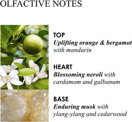 Actual product image Molton Brown Orange Bergamot Hand Wash (Liquid soap, 300 ml)