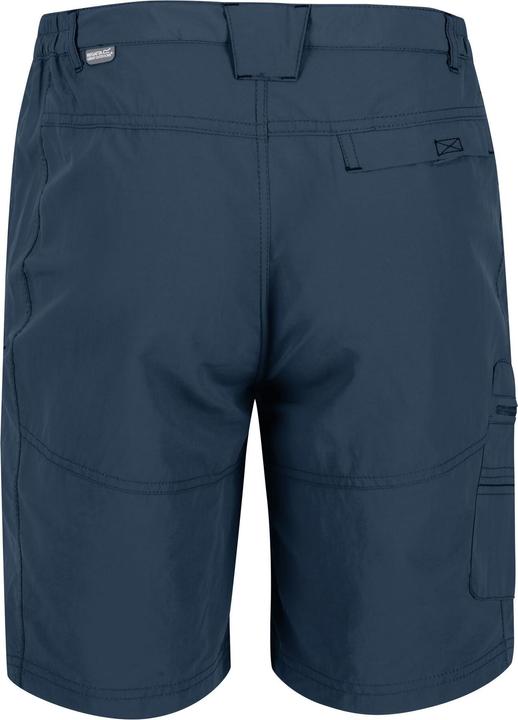 Produktbild Regatta Leesville II Shorts Wandern (44)